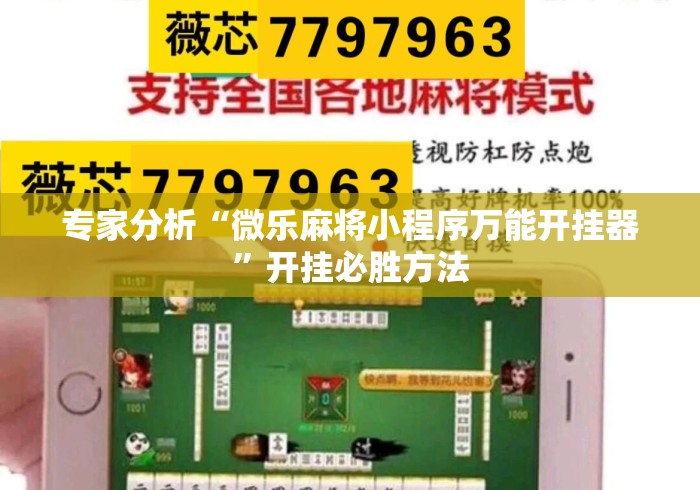 专家分析“微乐麻将小程序万能开挂器”开挂必胜方法