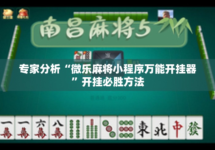 专家分析“微乐麻将小程序万能开挂器”开挂必胜方法