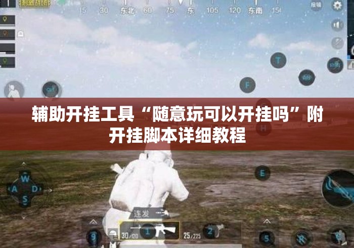 辅助开挂工具“随意玩可以开挂吗”附开挂脚本详细教程