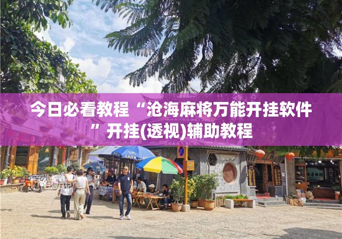 今日必看教程“沧海麻将万能开挂软件	”开挂(透视)辅助教程