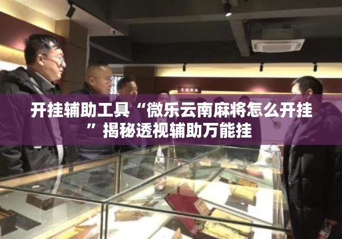 开挂辅助工具“微乐云南麻将怎么开挂	”揭秘透视辅助万能挂 
