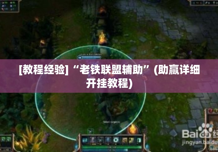 [教程经验]“老铁联盟辅助”(助赢详细开挂教程)