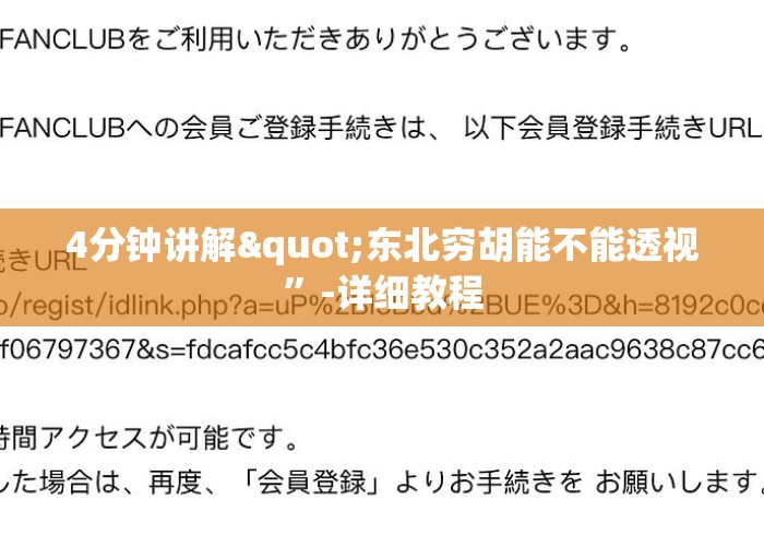 4分钟讲解"东北穷胡能不能透视”-详细教程