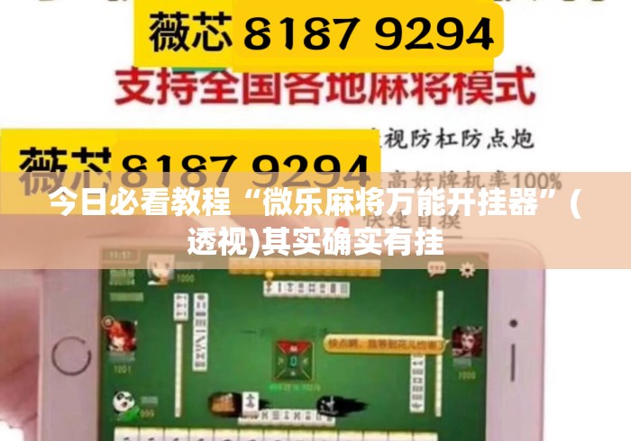 今日必看教程“微乐麻将万能开挂器”(透视)其实确实有挂