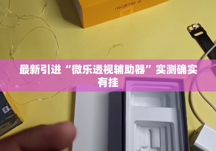 最新引进“微乐透视辅助器”实测确实有挂