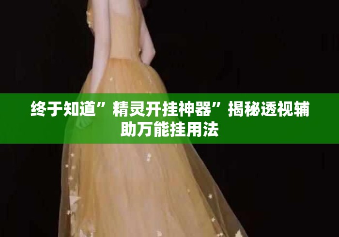 终于知道”精灵开挂神器	”揭秘透视辅助万能挂用法