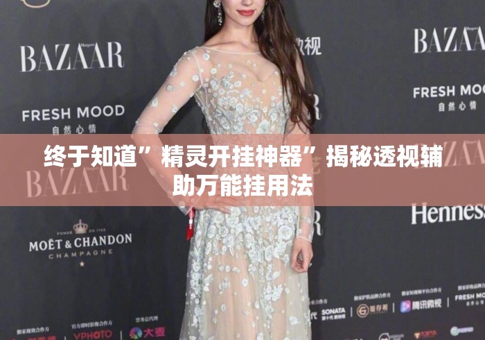 终于知道	”精灵开挂神器”揭秘透视辅助万能挂用法