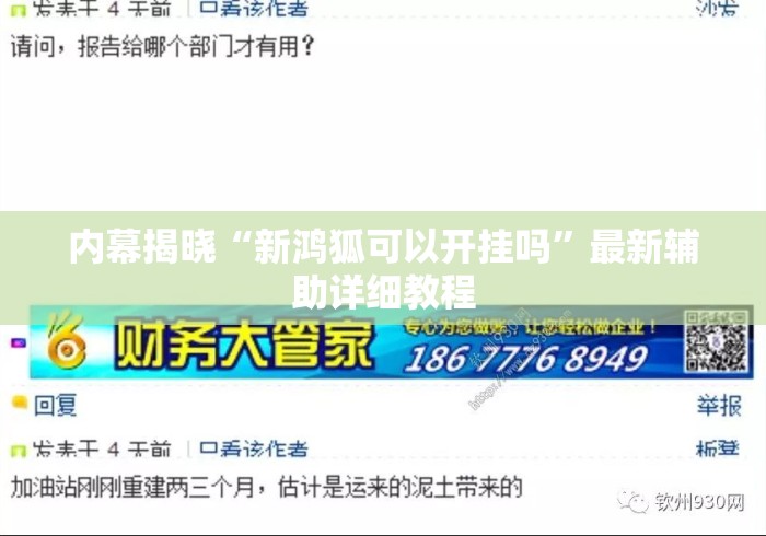 内幕揭晓“新鸿狐可以开挂吗”最新辅助详细教程