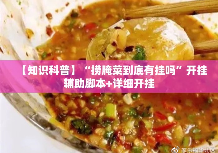 【知识科普】“捞腌菜到底有挂吗”开挂辅助脚本+详细开挂