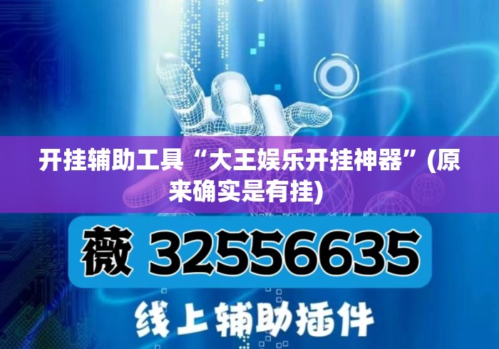 开挂辅助工具“大王娱乐开挂神器”(原来确实是有挂) 