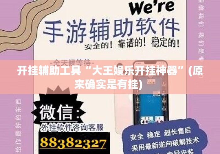 开挂辅助工具“大王娱乐开挂神器”(原来确实是有挂) 