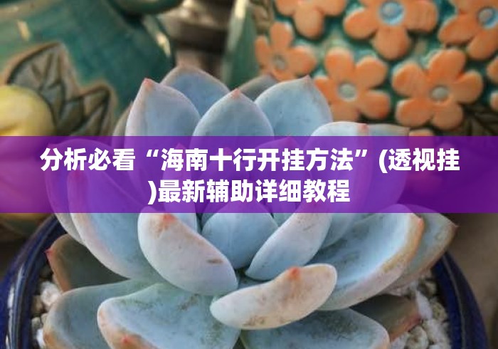 分析必看“海南十行开挂方法”(透视挂)最新辅助详细教程