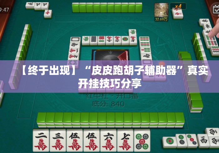 【终于出现】“皮皮跑胡子辅助器”真实开挂技巧分享