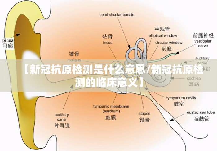 全网解答|“人海大厅真的有挂吗	”开挂神器{透视辅助}全揭秘
