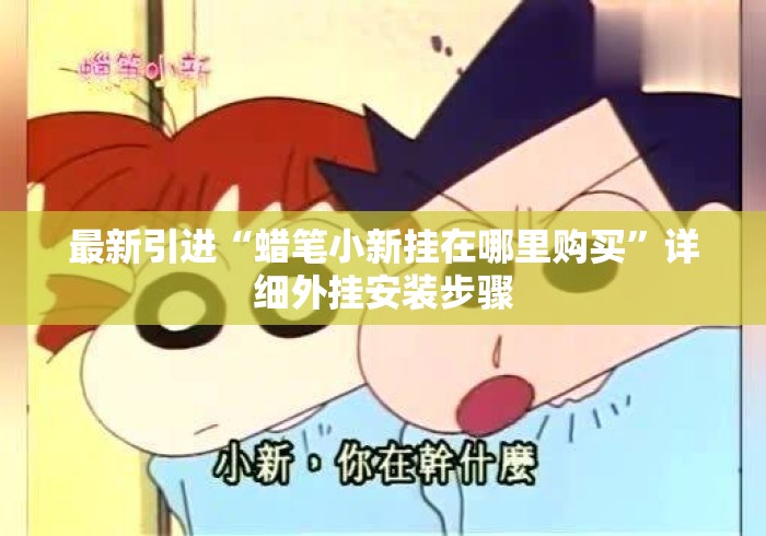 最新引进“蜡笔小新挂在哪里购买”详细外挂安装步骤