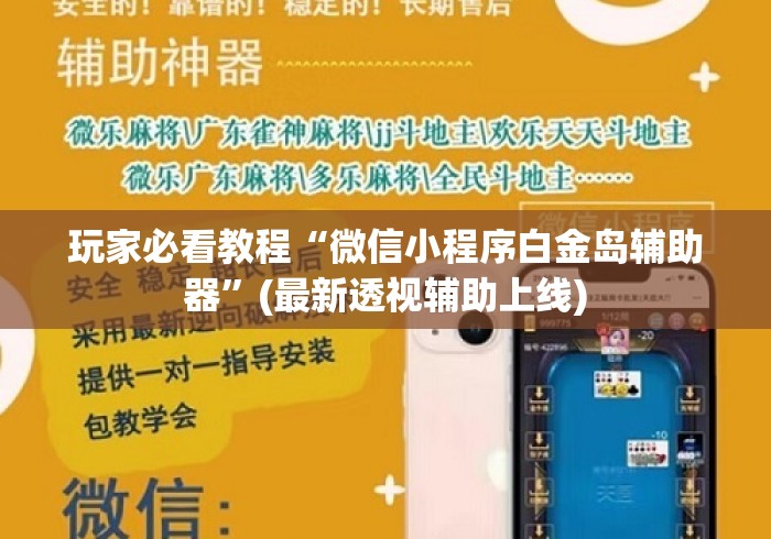 玩家必看教程“微信小程序白金岛辅助器	”(最新透视辅助上线)