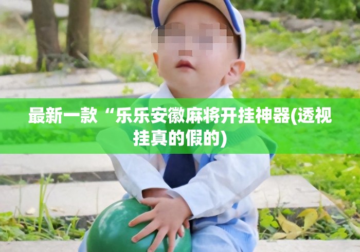 最新一款“乐乐安徽麻将开挂神器(透视挂真的假的)