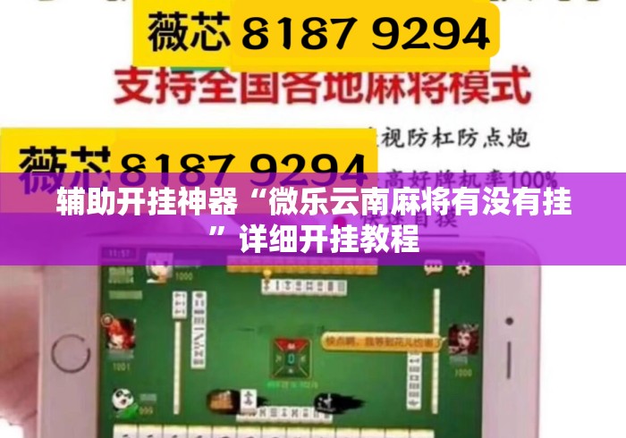 辅助开挂神器“微乐云南麻将有没有挂”详细开挂教程