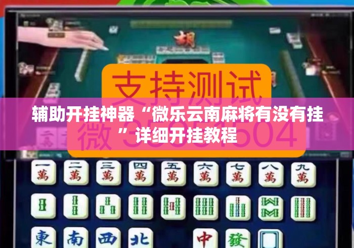 辅助开挂神器“微乐云南麻将有没有挂”详细开挂教程