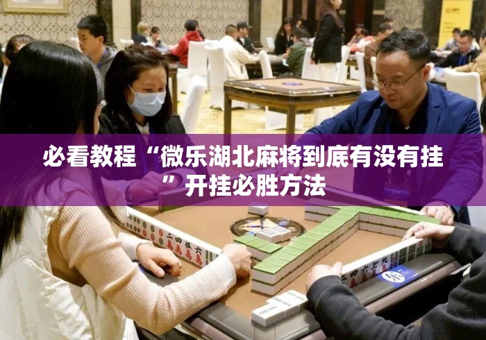 必看教程“微乐湖北麻将到底有没有挂”开挂必胜方法