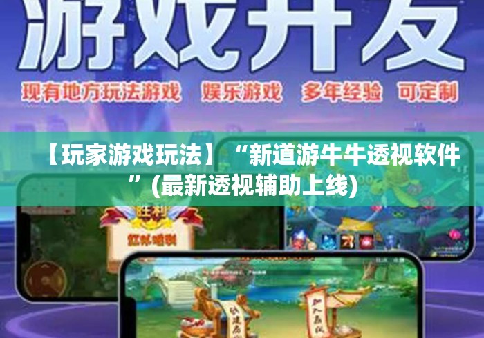 【玩家游戏玩法】“新道游牛牛透视软件	”(最新透视辅助上线)