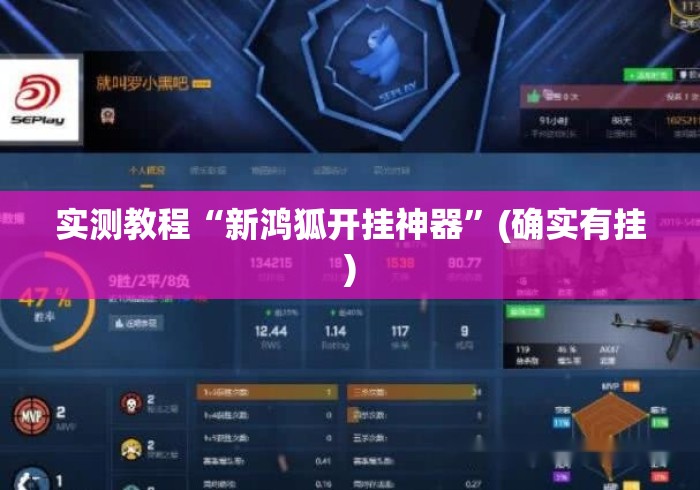 实测教程“新鸿狐开挂神器”(确实有挂)