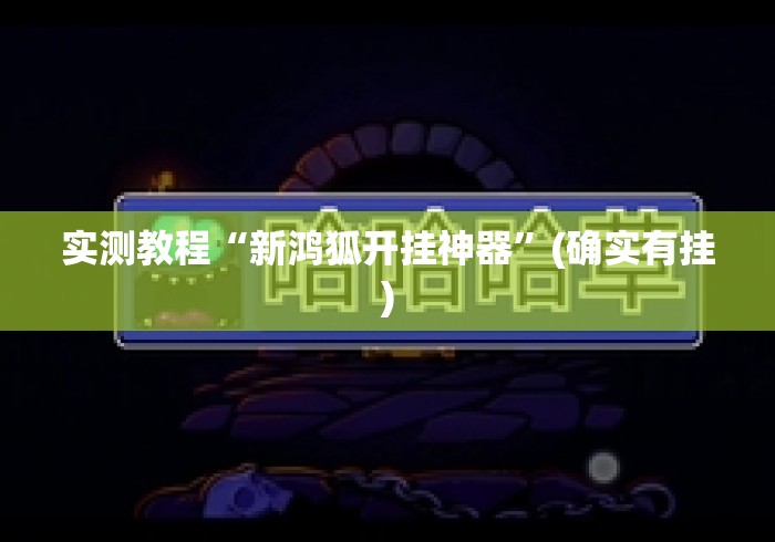 实测教程“新鸿狐开挂神器	”(确实有挂)