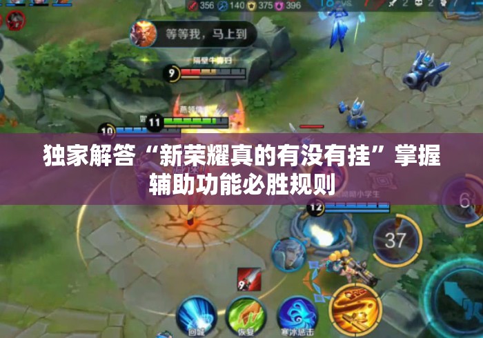 独家解答“新荣耀真的有没有挂”掌握辅助功能必胜规则