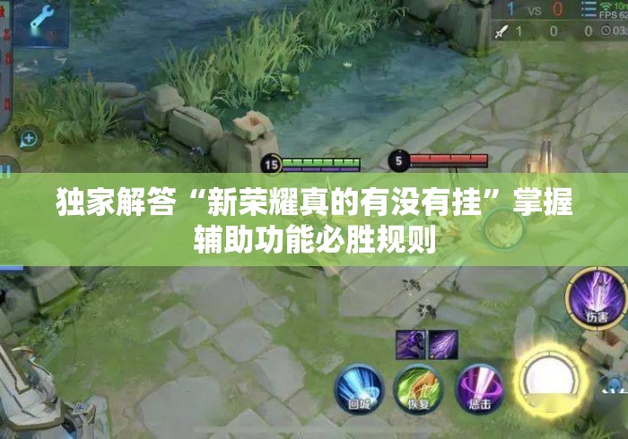 独家解答“新荣耀真的有没有挂	”掌握辅助功能必胜规则