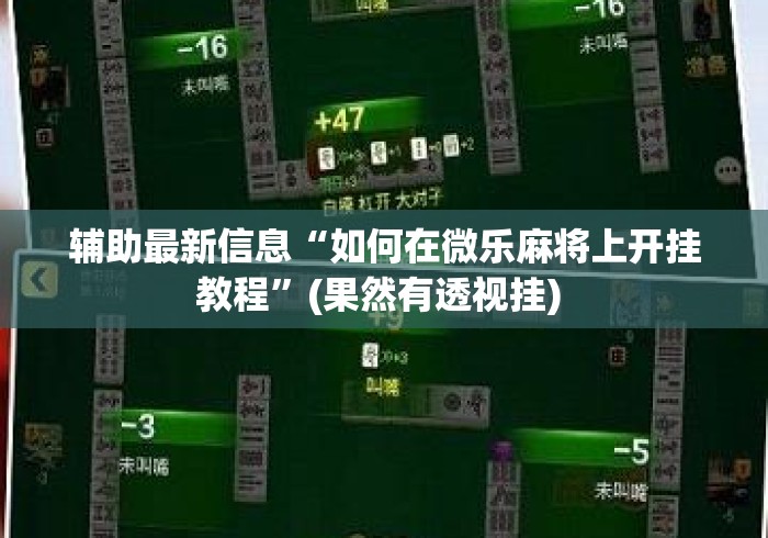 辅助最新信息“如何在微乐麻将上开挂教程	”(果然有透视挂) 