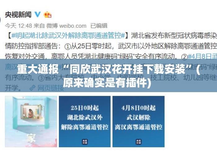 重大通报“同欣武汉花开挂下载安装”(原来确实是有插件) 