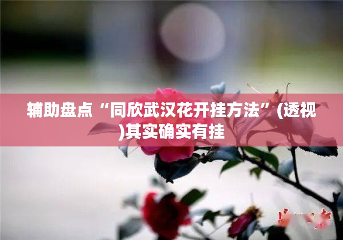 辅助盘点“同欣武汉花开挂方法”(透视)其实确实有挂