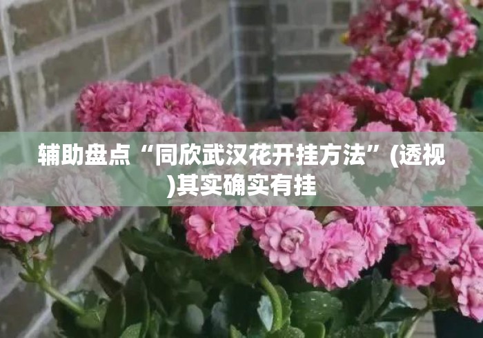 辅助盘点“同欣武汉花开挂方法	”(透视)其实确实有挂