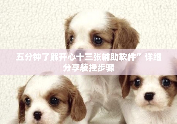 五分钟了解开心十三张辅助软件”详细分享装挂步骤