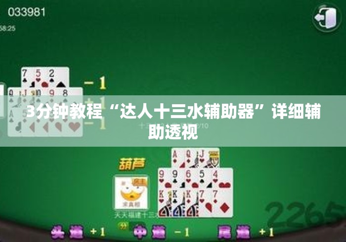 3分钟教程“达人十三水辅助器	”详细辅助透视