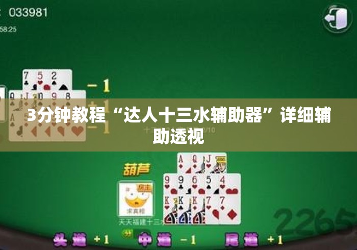 3分钟教程“达人十三水辅助器”详细辅助透视