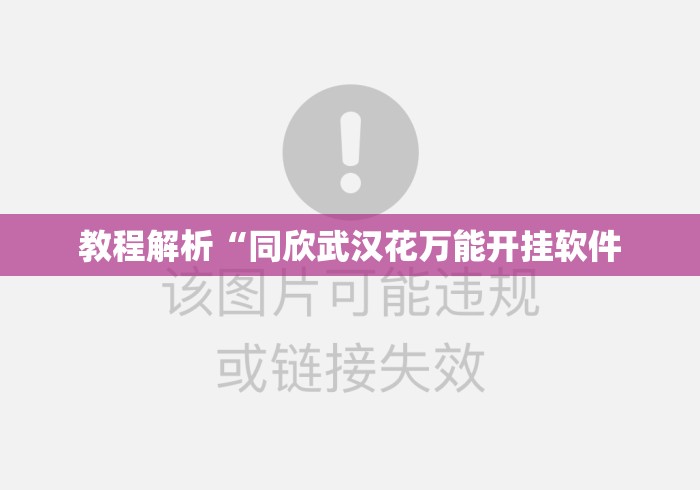 教程解析“同欣武汉花万能开挂软件