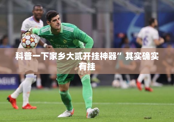 科普一下家乡大贰开挂神器	”其实确实有挂
