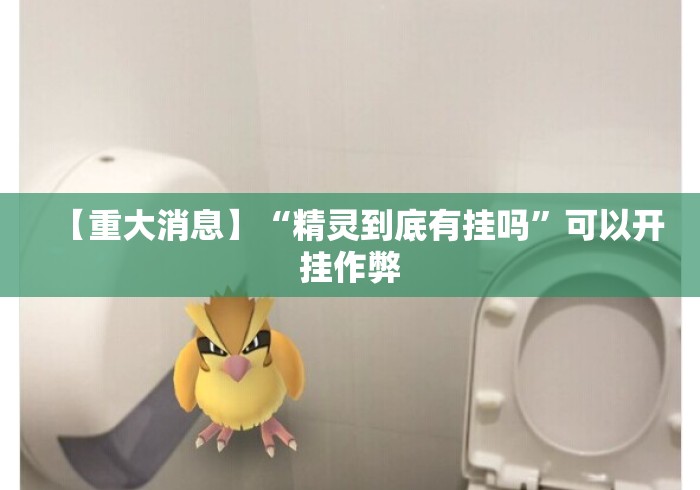 【重大消息】“精灵到底有挂吗”可以开挂作弊