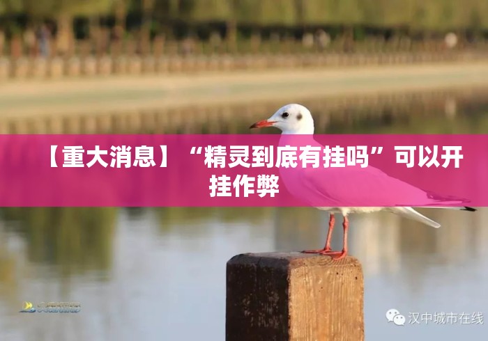 【重大消息】“精灵到底有挂吗	”可以开挂作弊