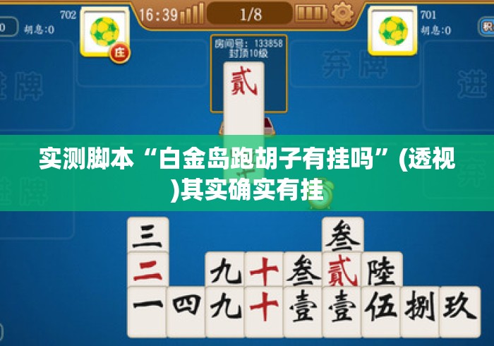 实测脚本“白金岛跑胡子有挂吗	”(透视)其实确实有挂