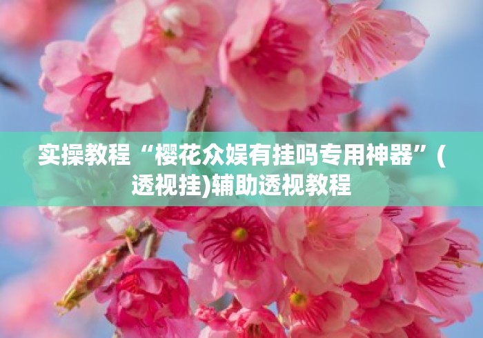 实操教程“樱花众娱有挂吗专用神器”(透视挂)辅助透视教程