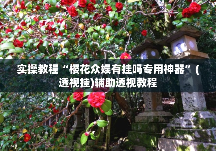 实操教程“樱花众娱有挂吗专用神器	”(透视挂)辅助透视教程