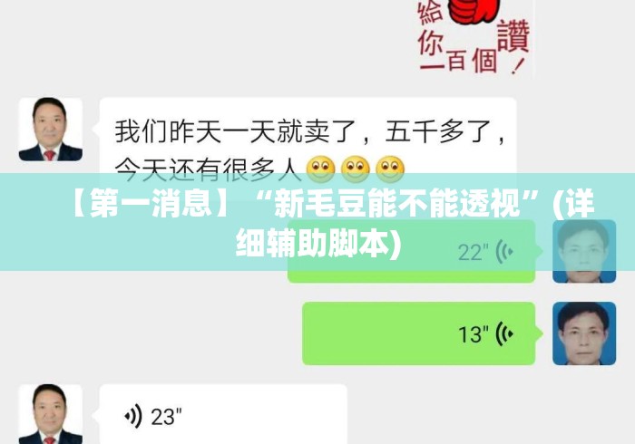 【第一消息】“新毛豆能不能透视”(详细辅助脚本)