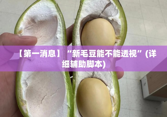 【第一消息】“新毛豆能不能透视	”(详细辅助脚本)