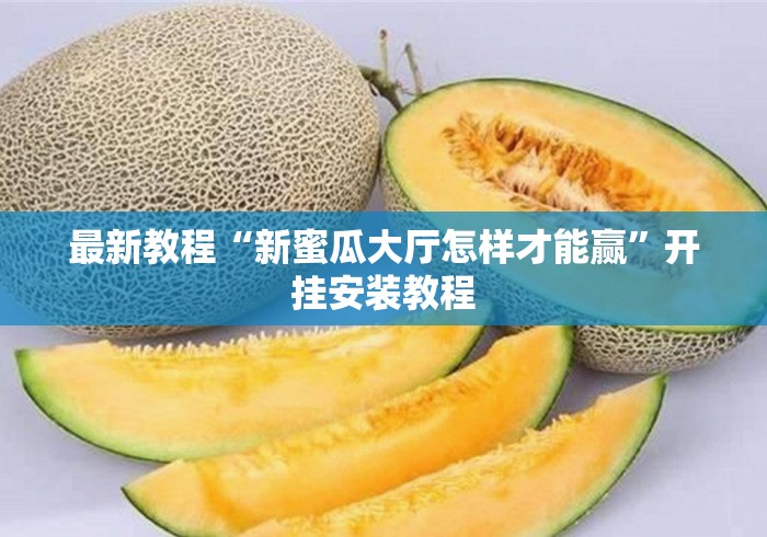最新教程“新蜜瓜大厅怎样才能赢”开挂安装教程
