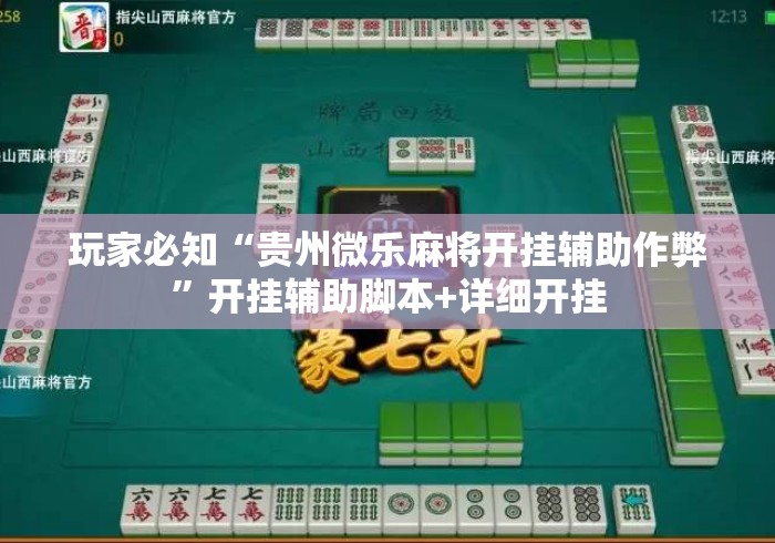 玩家必知“贵州微乐麻将开挂辅助作弊”开挂辅助脚本+详细开挂