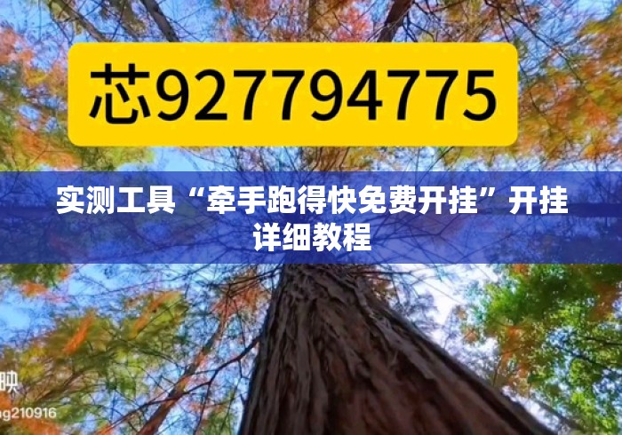 实测工具“牵手跑得快免费开挂”开挂详细教程