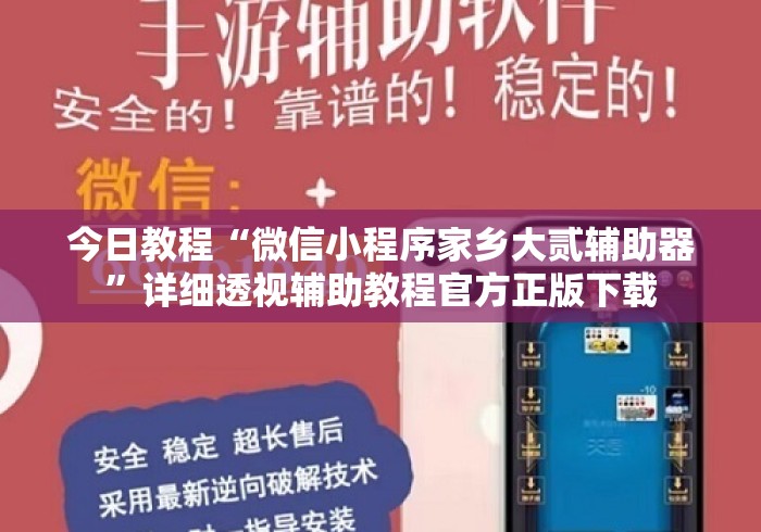 今日教程“微信小程序家乡大贰辅助器”详细透视辅助教程官方正版下载