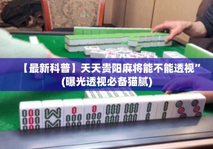 【最新科普】天天贵阳麻将能不能透视	”(曝光透视必备猫腻)